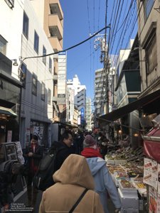 20180111113026_iPhone 7.jpg